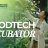 🚀 FoodTech Incubator: aperta la Call4Ideas per startup, spin-off e team di ricerca